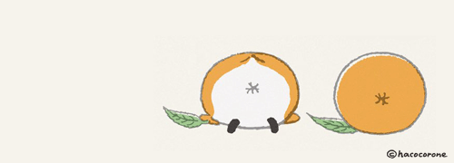 ことり,ハココロネ,hacocorone